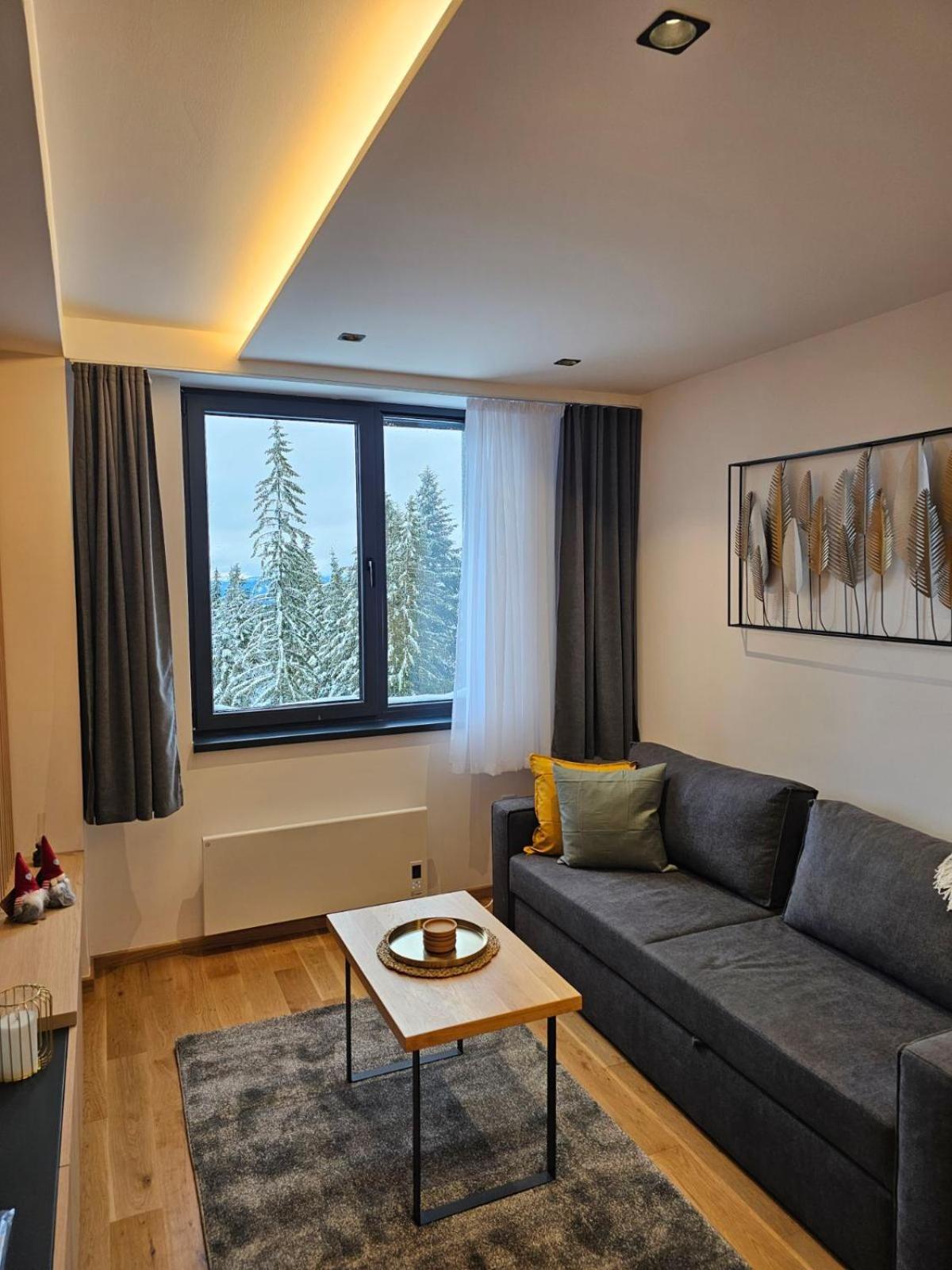 Apart Hotel Zlatni Javor, Apartment 410 ヤホリナ エクステリア 写真