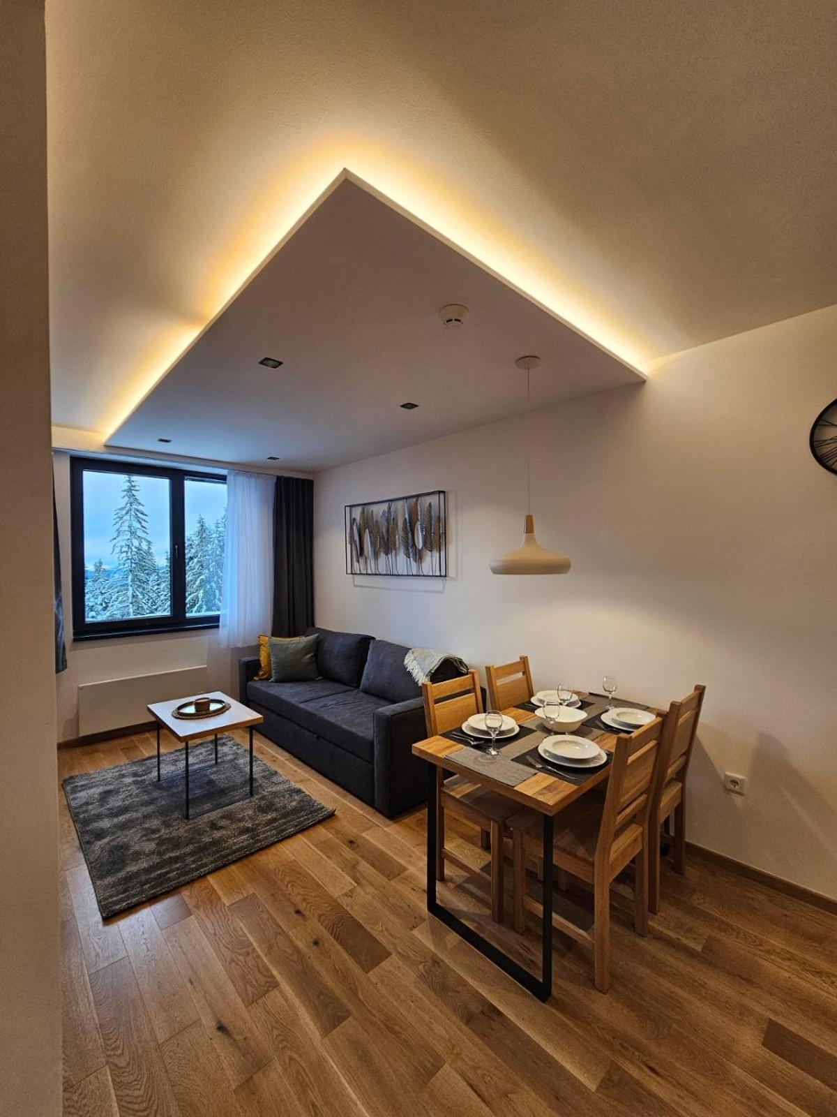 Apart Hotel Zlatni Javor, Apartment 410 ヤホリナ エクステリア 写真